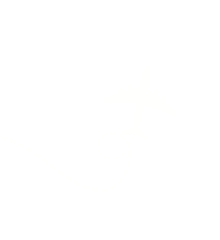 Plane 1