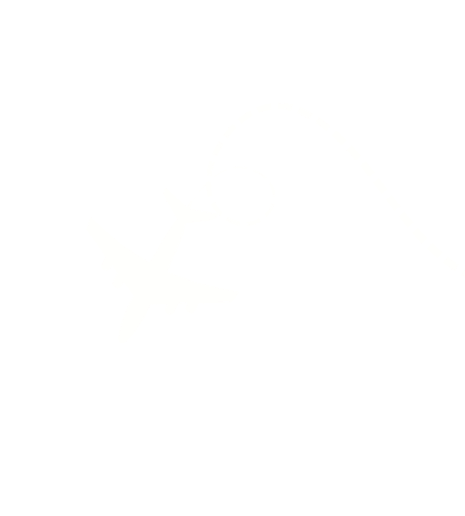 Plane 2