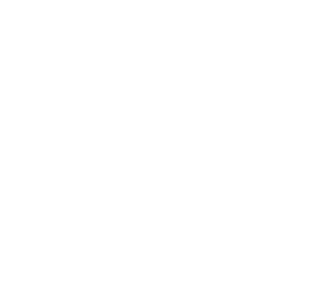 Sandy Gunn Logo